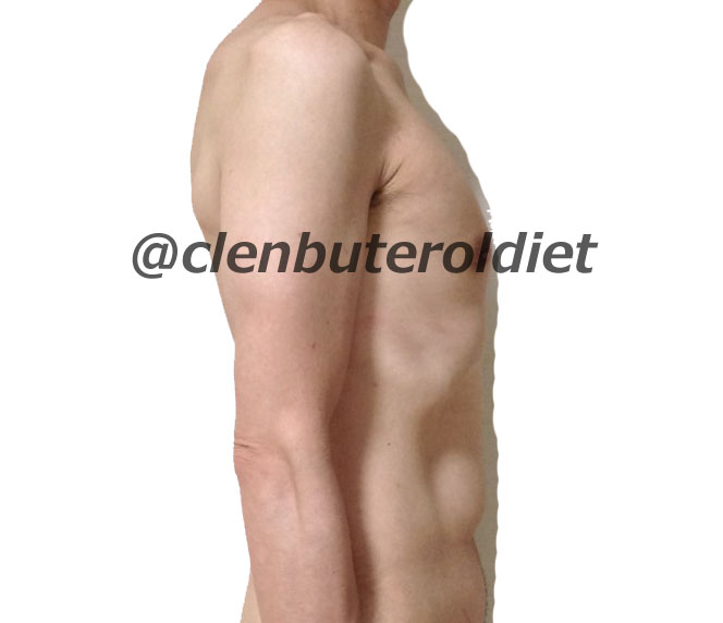 f:id:clenbuteroldiet:20170807035939j:plain