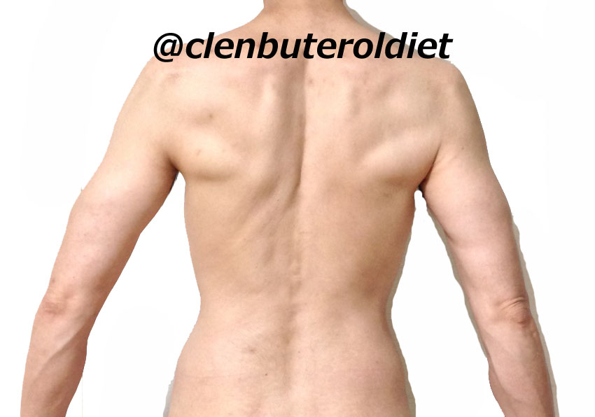 f:id:clenbuteroldiet:20170809094527j:plain