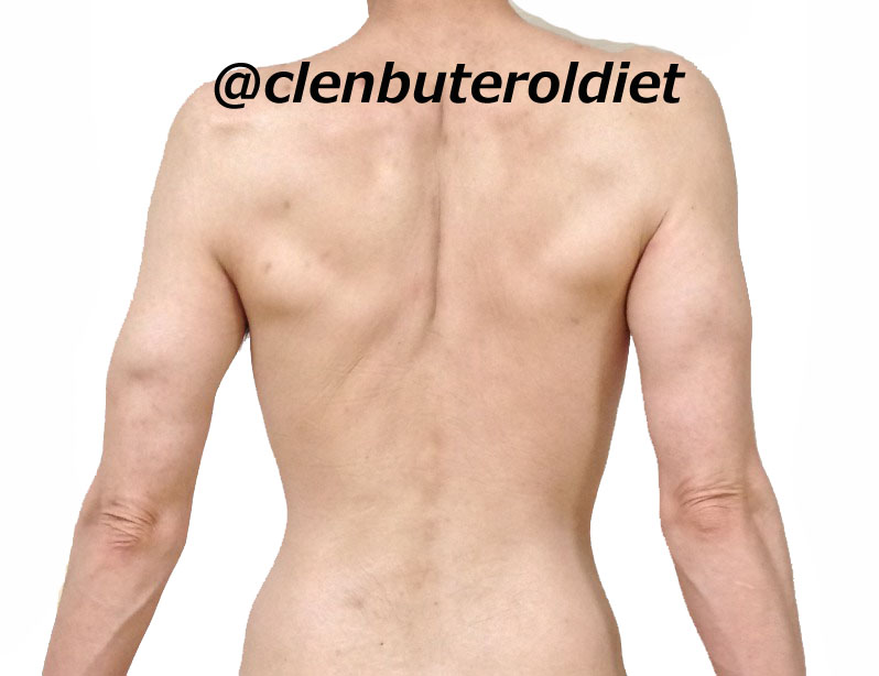 f:id:clenbuteroldiet:20170812143321j:plain