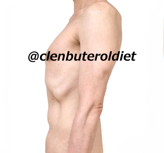 f:id:clenbuteroldiet:20170812143333j:plain