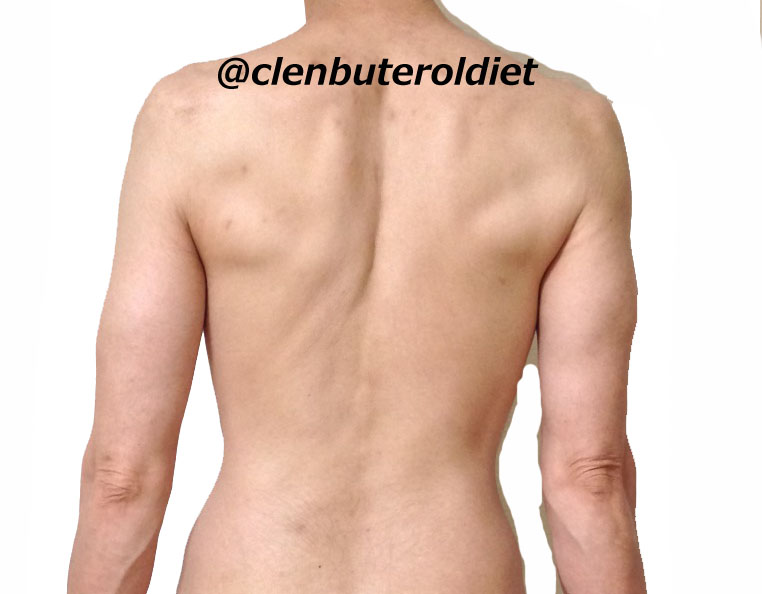 f:id:clenbuteroldiet:20170818121630j:plain f:id:clenbuteroldiet:20170818121630j:plain