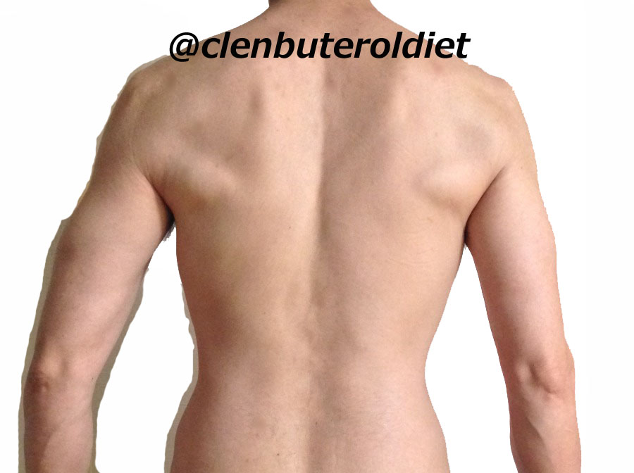 f:id:clenbuteroldiet:20170917171905j:plain
