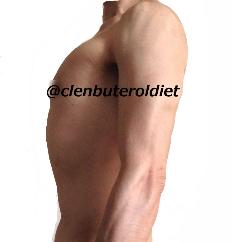 f:id:clenbuteroldiet:20170917171926j:plain