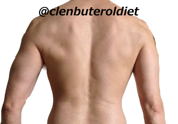 f:id:clenbuteroldiet:20171210184651j:plain