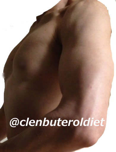 f:id:clenbuteroldiet:20171210184713j:plain