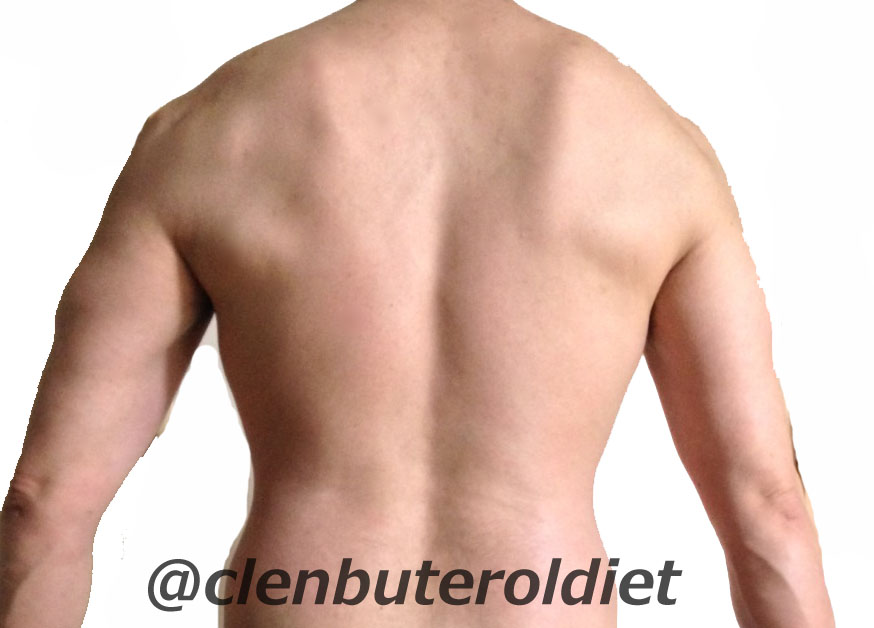 f:id:clenbuteroldiet:20180101180734j:plain