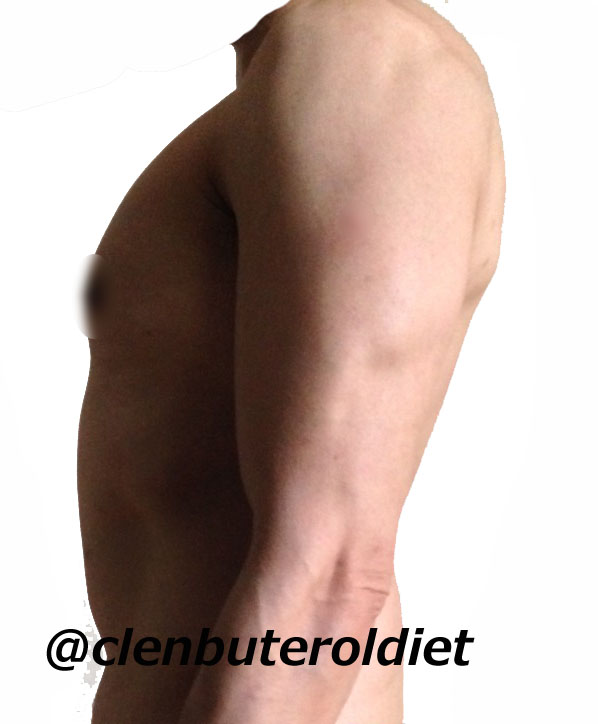 f:id:clenbuteroldiet:20180101180955j:plain