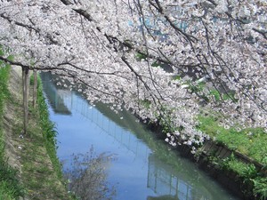 f:id:clicknet:20060406111834j:image