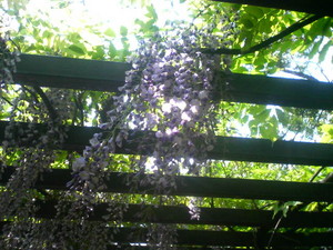 f:id:clicknet:20070427010705j:image:left f:id:clicknet:20070427010705j:image:left
