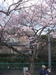 f:id:clicknet:20120404123216j:image f:id:clicknet:20120404123216j:image