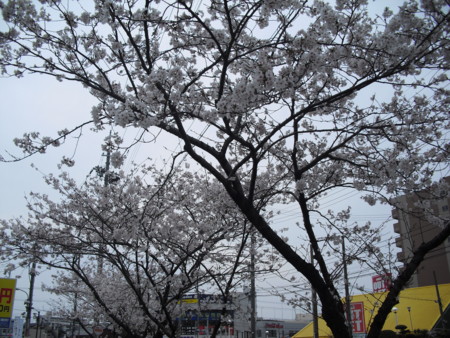 f:id:clicknet:20120410122002j:image