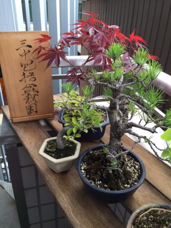 f:id:clicknet:20150624151917j:image