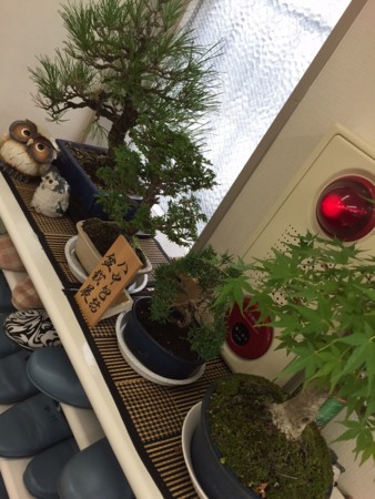 f:id:clicknet:20150626113109j:image