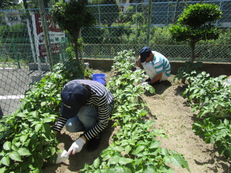 f:id:clicknet:20180522140142j:image