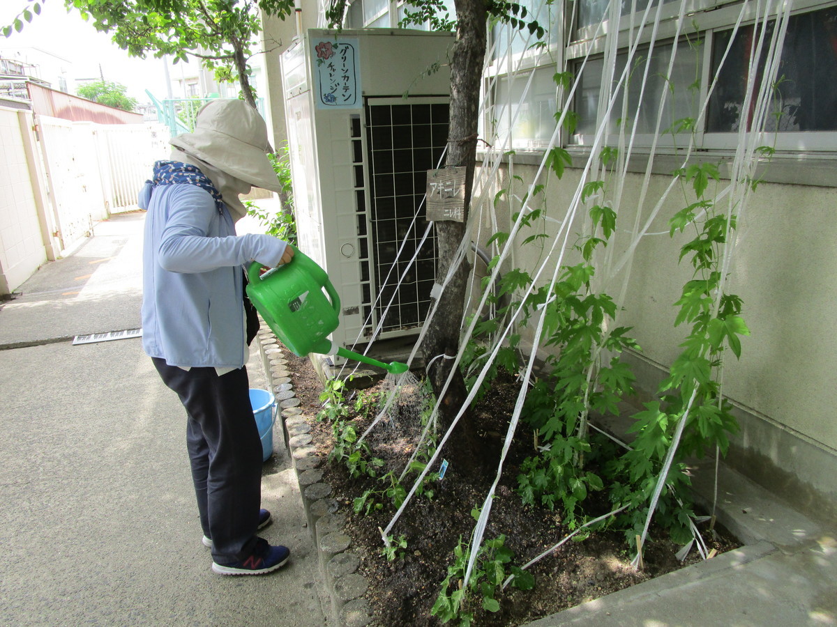 f:id:clicknet:20190611104857j:plain f:id:clicknet:20190611104857j:plain