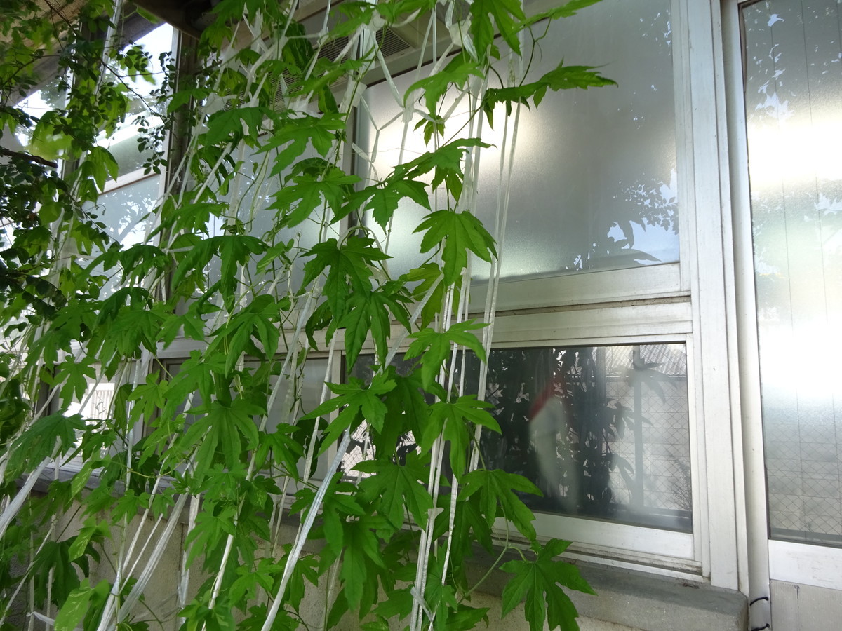 f:id:clicknet:20190717134132j:plain