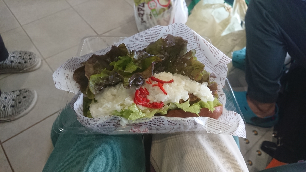 f:id:climbingrocker:20190321064217j:plain f:id:climbingrocker:20190321064217j:plain