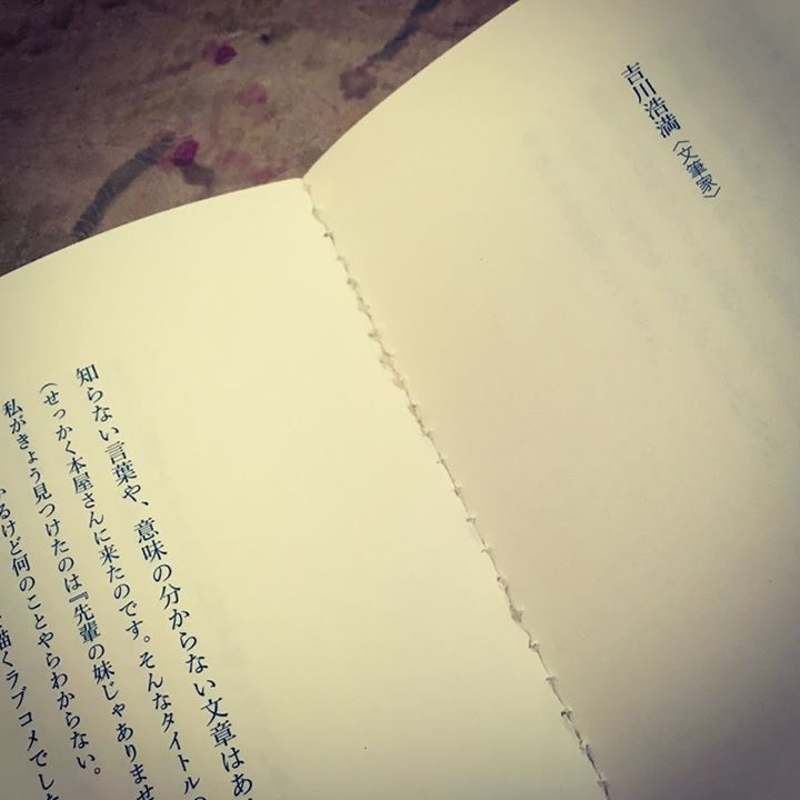 f:id:clinamen:20170529113854j:plain:w300