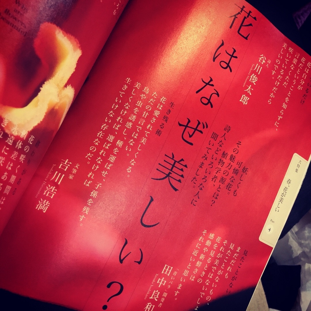 f:id:clinamen:20180326121519j:plain:w300