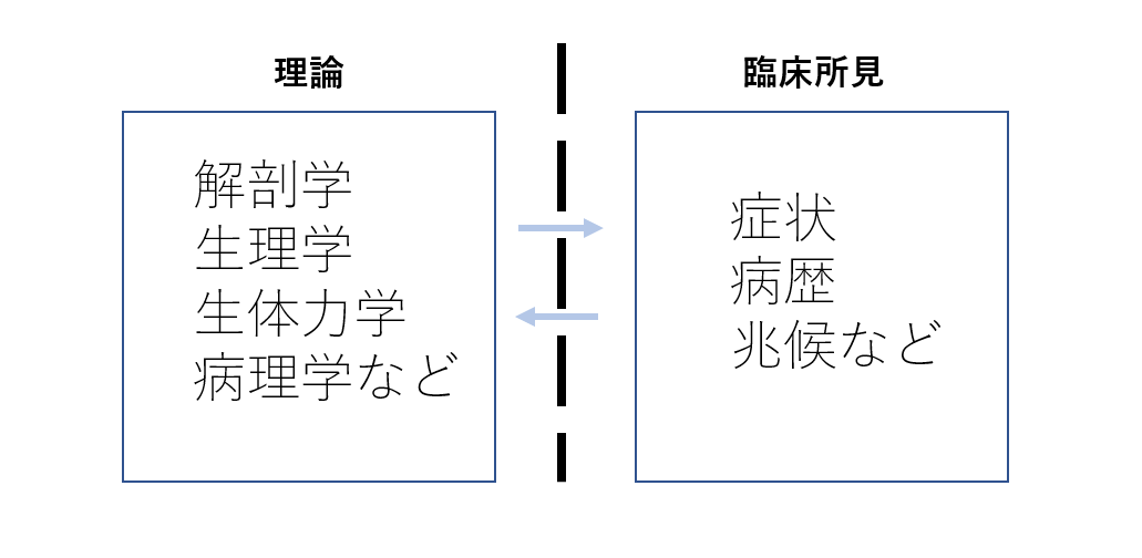 f:id:clinical-reasoning_detective-pt:20190616104031p:plain
