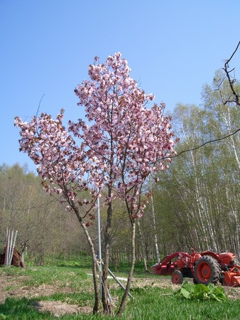 20060515210653