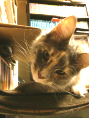 f:id:clockpulse:20140701214140j:image:w200:left