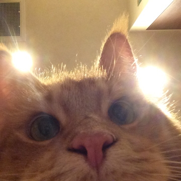 f:id:clockpulse:20140712222320j:image:w280:right