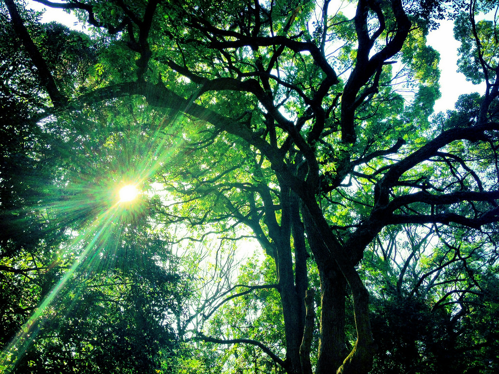 f:id:cloise:20170529100726j:plain f:id:cloise:20170529100726j:plain