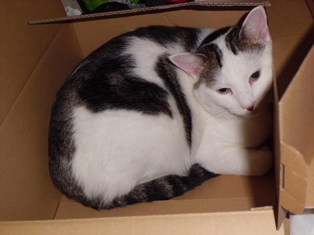 f:id:cloise:20171115190722j:plain f:id:cloise:20171115190722j:plain