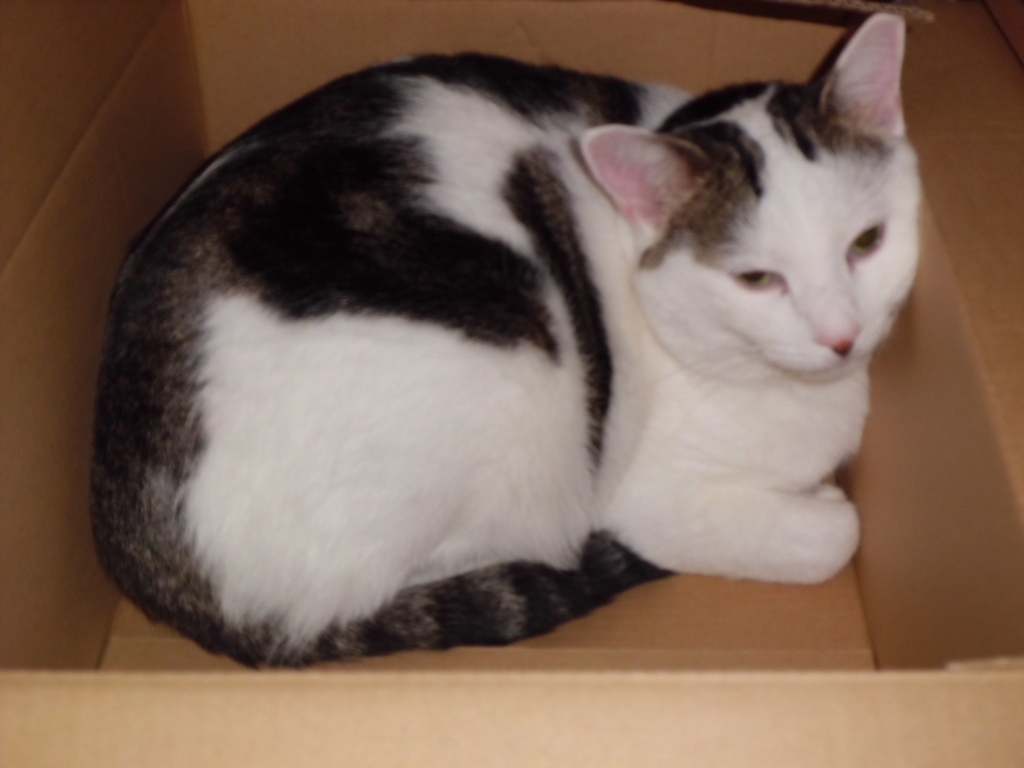 f:id:cloise:20171115190743j:plain f:id:cloise:20171115190743j:plain