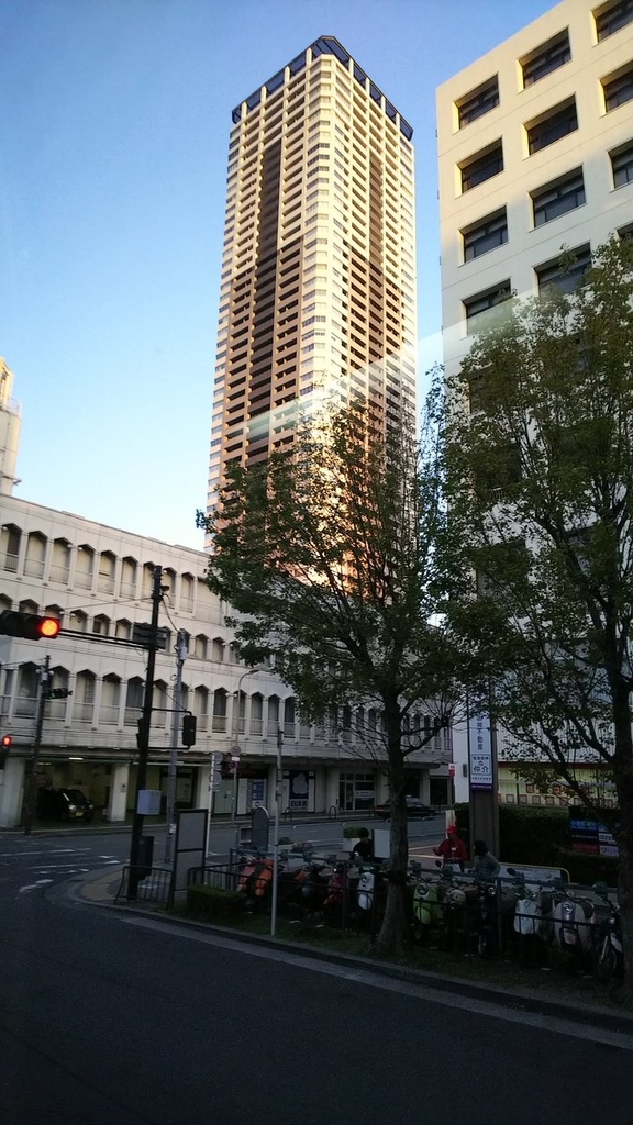 f:id:cloise:20181023021220j:plain f:id:cloise:20181023021220j:plain