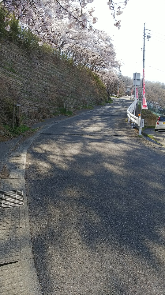 f:id:cloise:20190420002247j:plain f:id:cloise:20190420002247j:plain