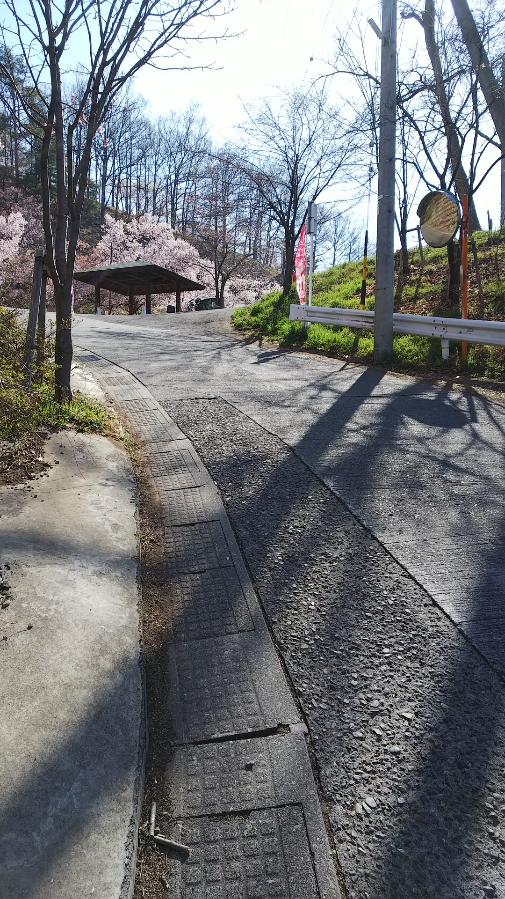 f:id:cloise:20190420002600j:plain f:id:cloise:20190420002600j:plain