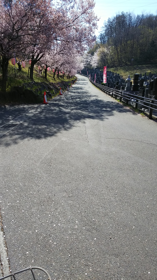 f:id:cloise:20190420002732j:plain f:id:cloise:20190420002732j:plain