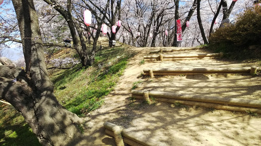 f:id:cloise:20190420003442j:plain f:id:cloise:20190420003442j:plain