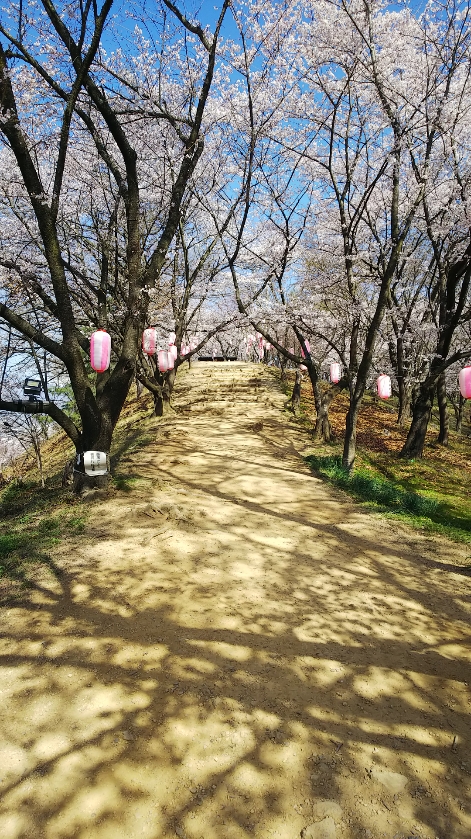 f:id:cloise:20190420004101j:plain f:id:cloise:20190420004101j:plain