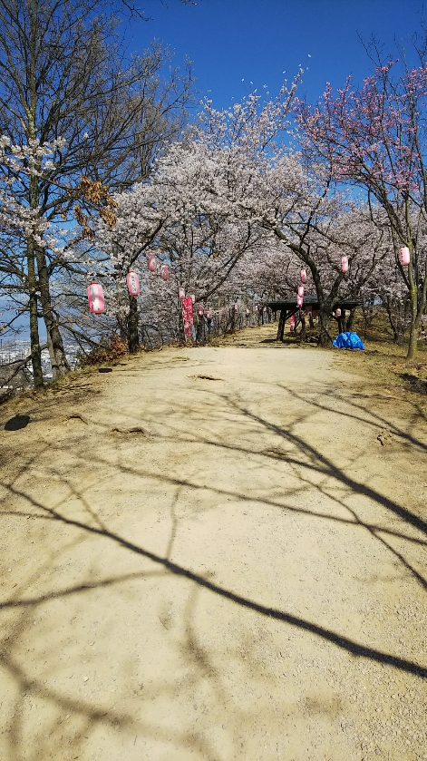 f:id:cloise:20190420004449j:plain f:id:cloise:20190420004449j:plain