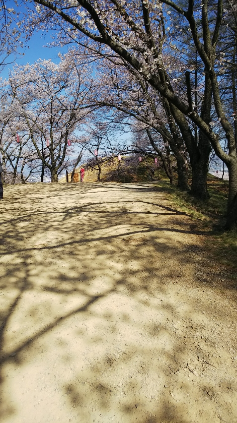 f:id:cloise:20190420005203j:plain f:id:cloise:20190420005203j:plain