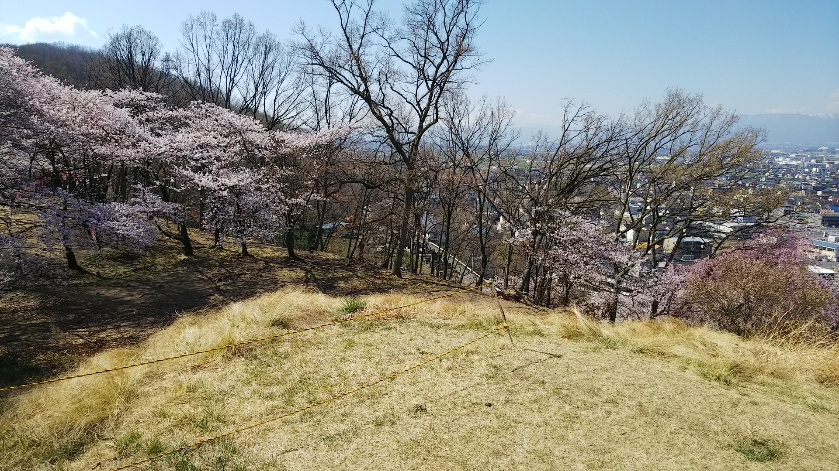 f:id:cloise:20190420010102j:plain f:id:cloise:20190420010102j:plain