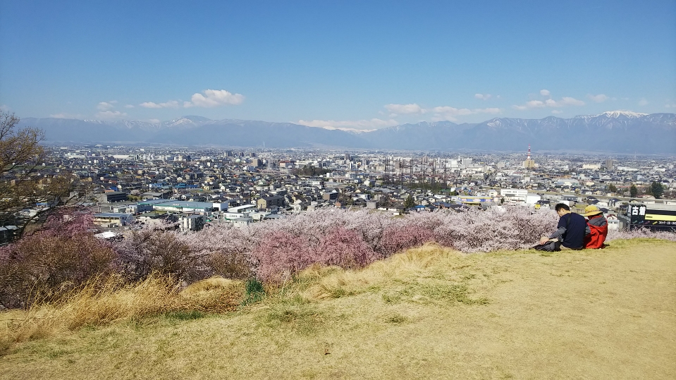 f:id:cloise:20190420010128j:plain f:id:cloise:20190420010128j:plain