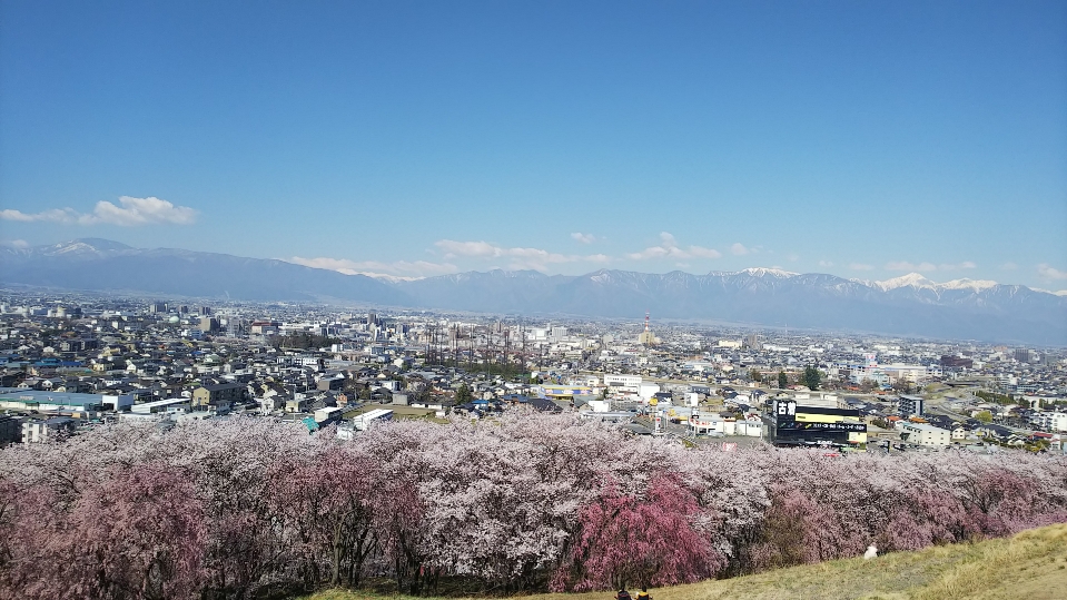 f:id:cloise:20190420010235j:plain f:id:cloise:20190420010235j:plain