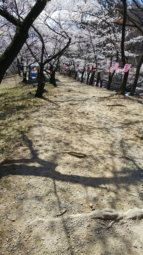 f:id:cloise:20190420010903j:plain f:id:cloise:20190420010903j:plain