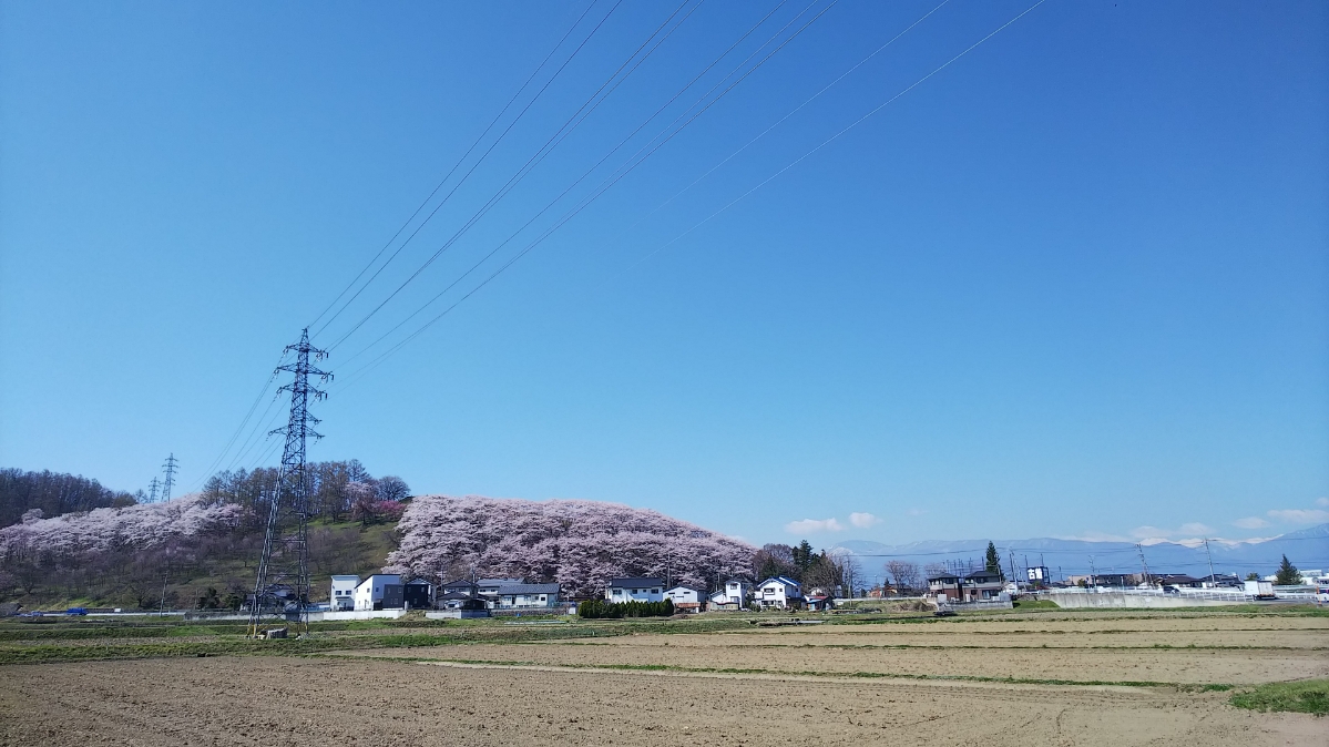 f:id:cloise:20190420012616j:plain f:id:cloise:20190420012616j:plain