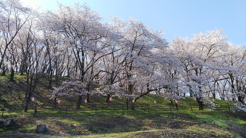 f:id:cloise:20190420013253j:plain f:id:cloise:20190420013253j:plain