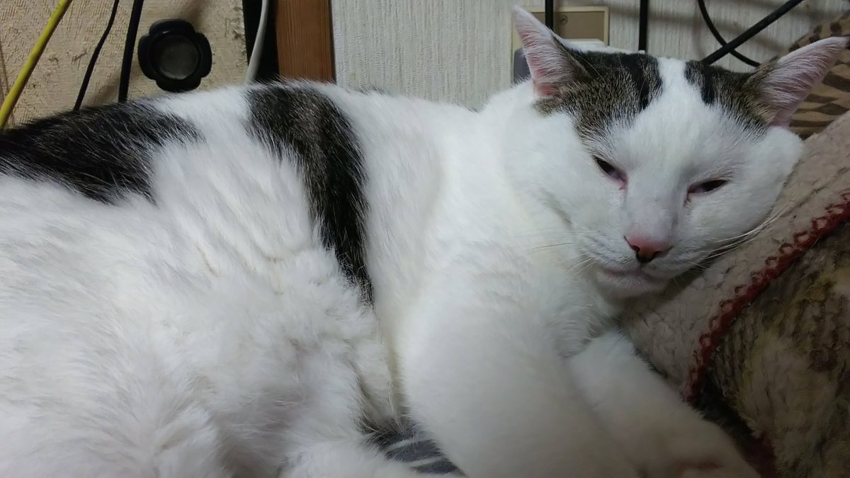 f:id:cloise:20191005043449j:plain f:id:cloise:20191005043449j:plain