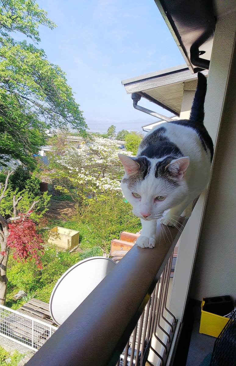 f:id:cloise:20210512043148j:plain