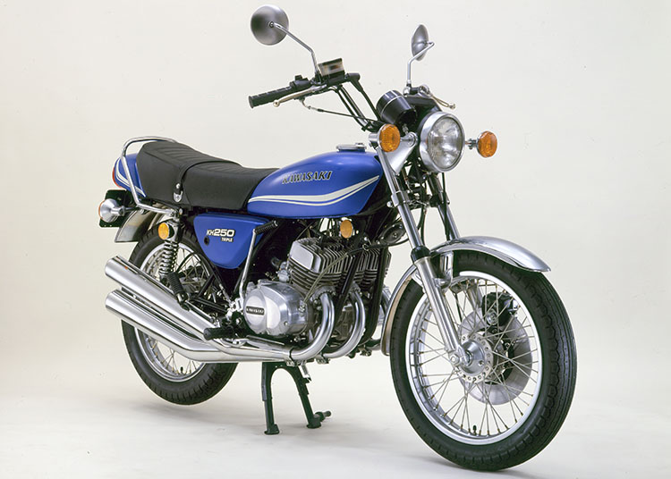 KAWASAKI KH250B2 タンク 18-22 2BK-EX250P カワサキ ニンジャ 250 タンク関連 | バイク