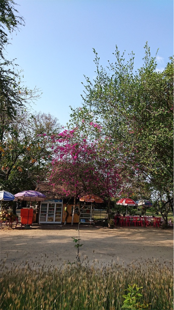 f:id:clothingfoodlivings:20190616082026j:image f:id:clothingfoodlivings:20190616082026j:image