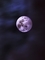 20231228011821