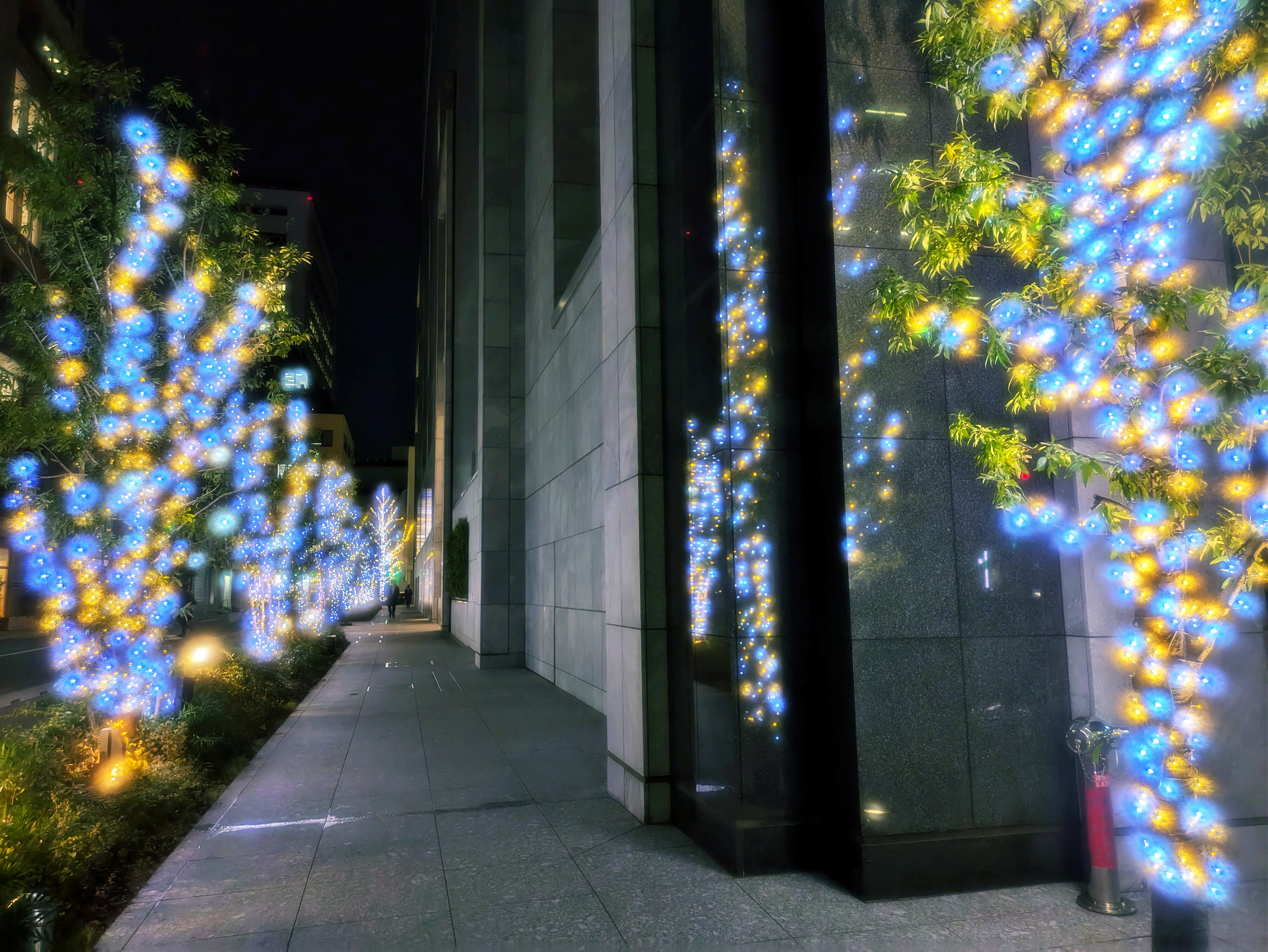 20250112172932